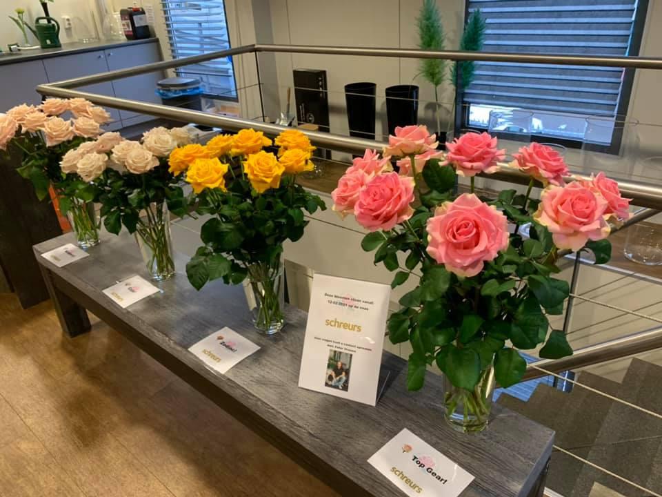 Rose varieties at Hoven &  de Mooij
